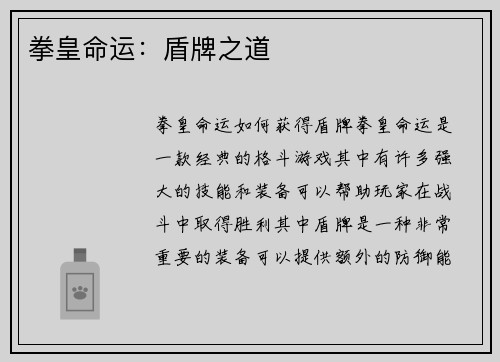 拳皇命运：盾牌之道